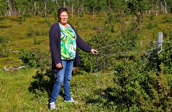 Mener kirkegården forsømmes