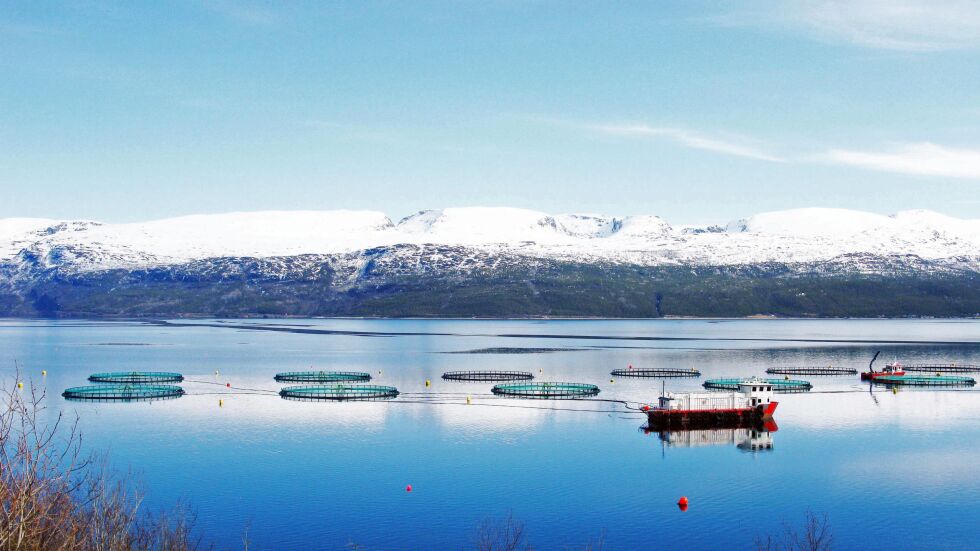 Behov for fagfolk innen akvakultur gjør at Finnmark fylkeskommune i et samarbeid med Grieg Seafood ønsker å gi bedre opplæring innenfor dette feltet.
 Foto: Elin Margrethe Wersland