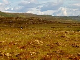 Forsoning uten naturbruk er ikke forsoning