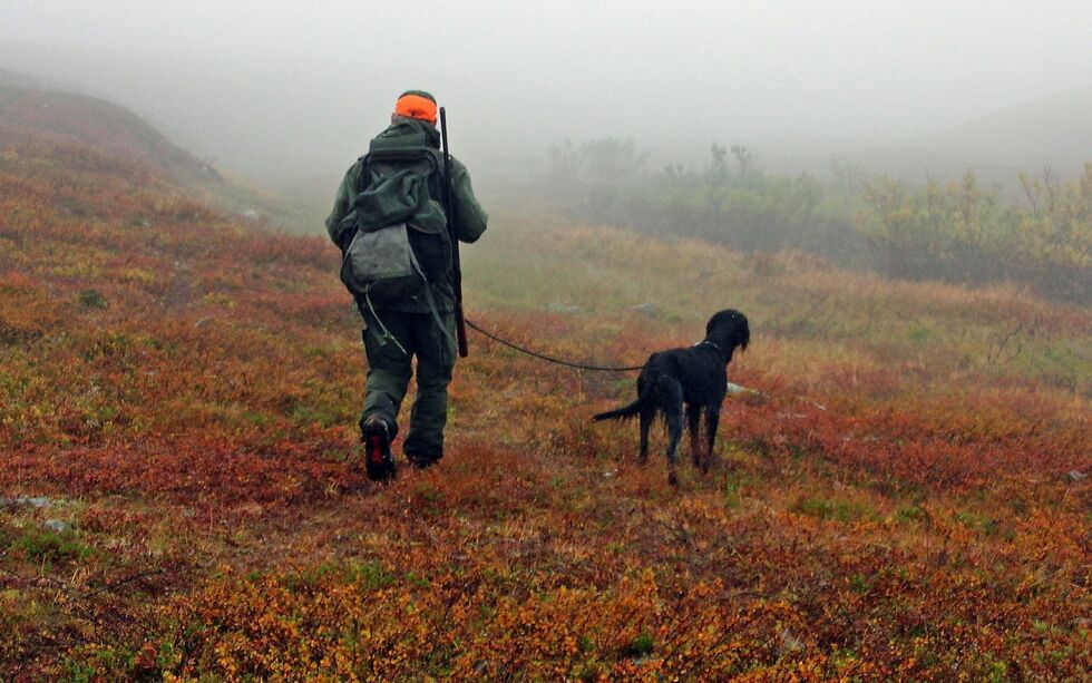 Mange steder i Finnmark kan det bli gode forhold for rypejakt denne høsten.