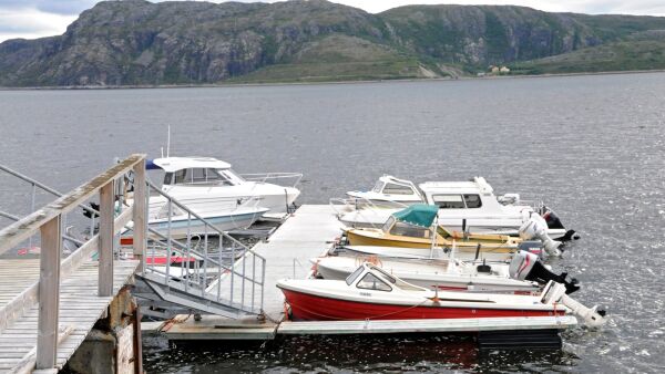 Fiske til besvær