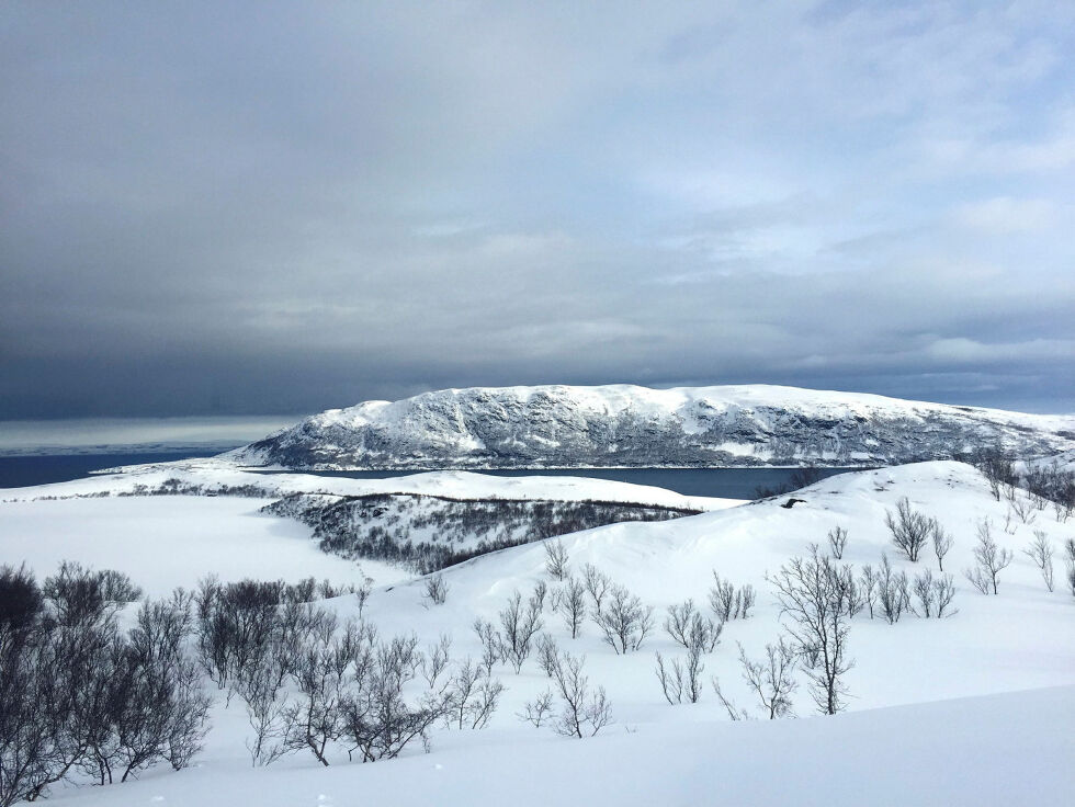 Bringnes er en halvøy mellom Olderfjord og Smørfjord i Porsanger kommune
 Foto: Irene Andersen