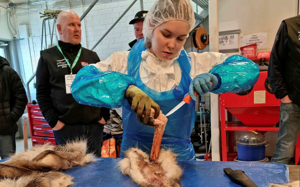 Vinneren av reindriftsfaget, Magdalena Turi fra Kautokeino, viste imponerende ferdigheter med kniv og skinn.
Foto: Trond Hansen