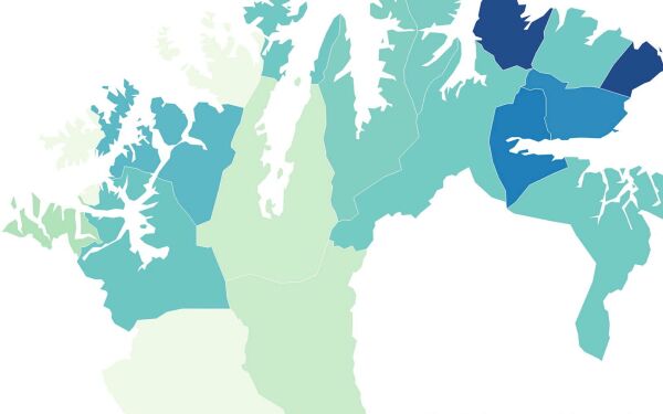 Hvor mye får kommunene i tilskudd og hvordan brukes pengene?