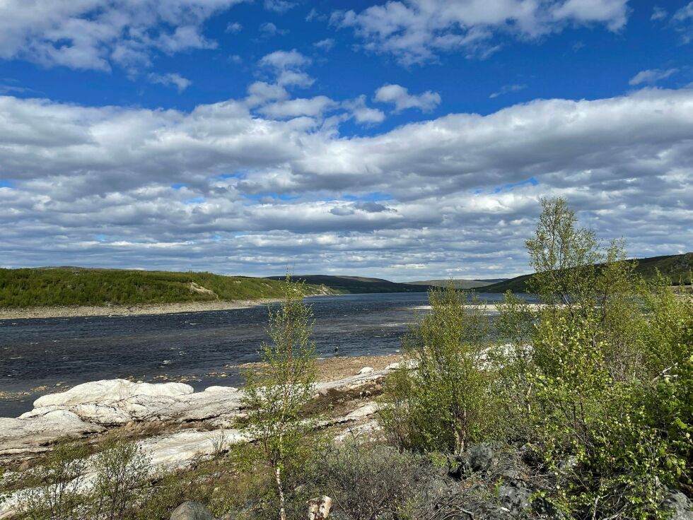 –  Et fiske på finsk side kan forlenge prosessen med å gjenoppbygge laksebestandene i Tanavassdraget, og i verste fall sette hele denne prosessen i fare, mener statssekretær Aleksander Øren Heen.
(ILLUSTRASJONSFOTO)
 Foto: Birgitte Wisur Olsen