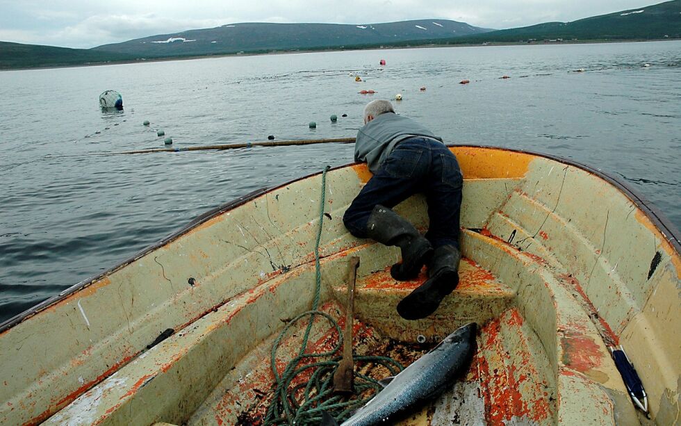 Finske myndigheter har støttet forslaget om å forby bruk av krokgarn i sjøen i Finnmark.
Illustrasjonsfoto: Hanne Klemetsen