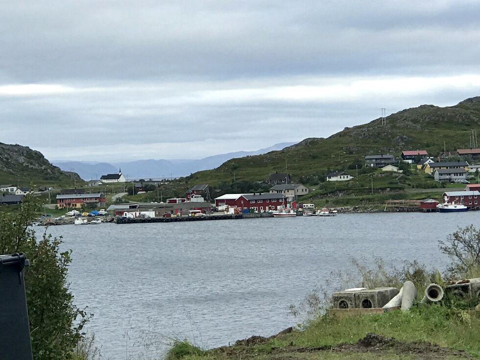 Skjånes er et livskraftig fiskevær i Hopsfjorden, beliggende på vestsida av Tanafjorden. Området har urgammel sjøsamisk bosetting.
 Foto: Privat