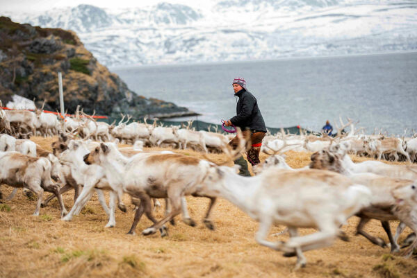 FN refser Norge