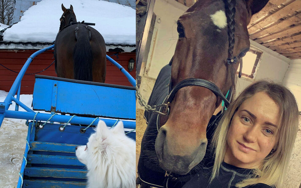 Camilla S. Sivertsen (29) fra Neiden har blitt kåret til juli måneds amatørkusk av Norsk travamatørforening.
 Foto: privat