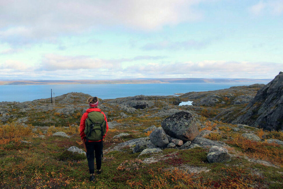 Fin utsikt til Varangerfjorden.
 Foto: Randi Irene Losoa