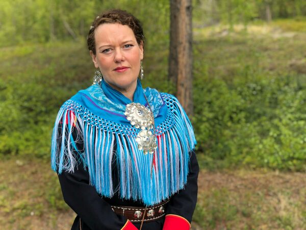 Ønsker plenumsnei til vindkraft