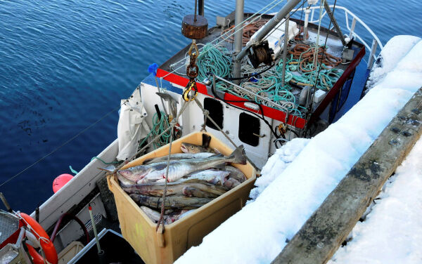 Seks unge fiskere fikk rekrutteringskvote