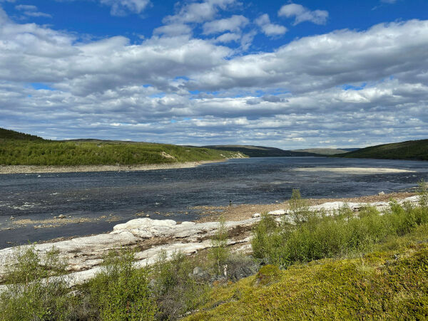 Bruk lokal kunnskap for å berge tanalaksen!