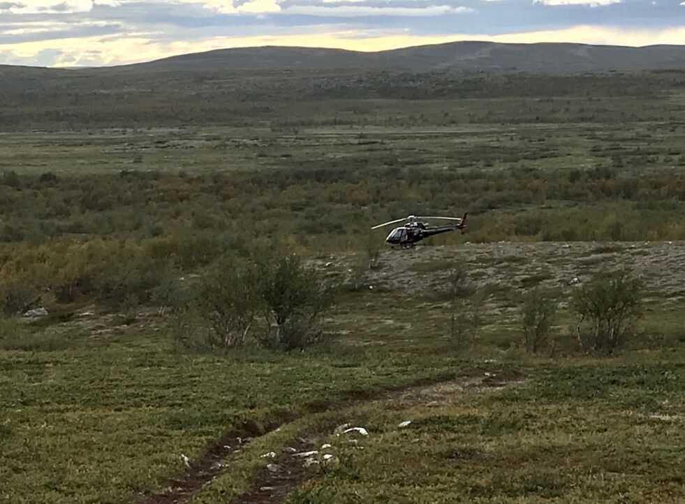 Torsdag i forrige uke undersøkte Reinpolitiet plassen der en elg ble tyvslaktet dagen før. Politiet antar krypskytterne har fulgt kjøresporet i forgrunnen da de fraktet kjøttet vekk.
 Foto: Reinpolitiet
