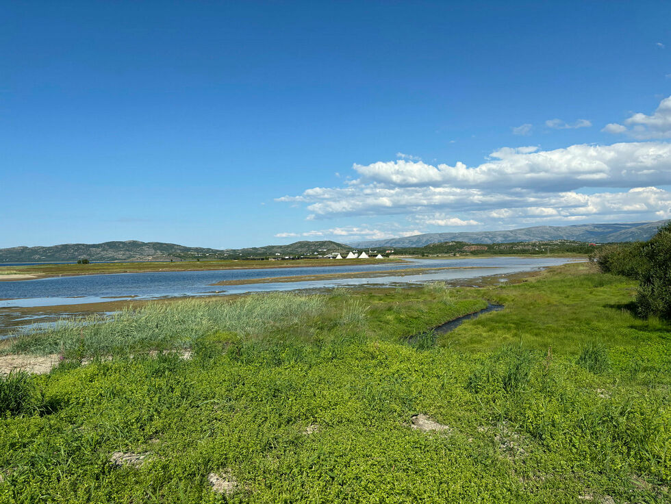 Brennelvneset i Porsanger.
 Foto: Anders Henriksen