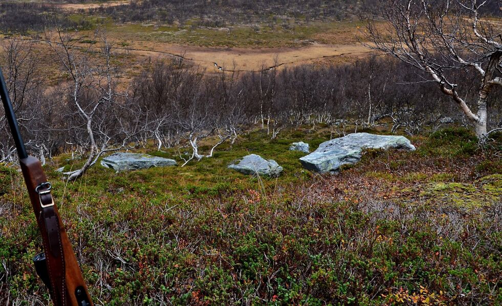 Illustrasjonsfoto: Berit Thomassen