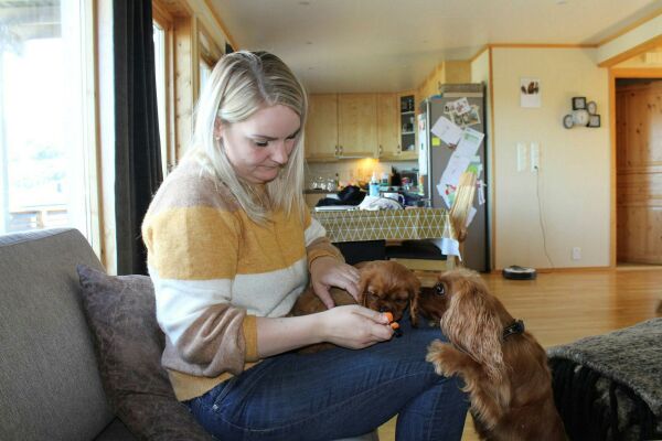 Mennesket og hunden