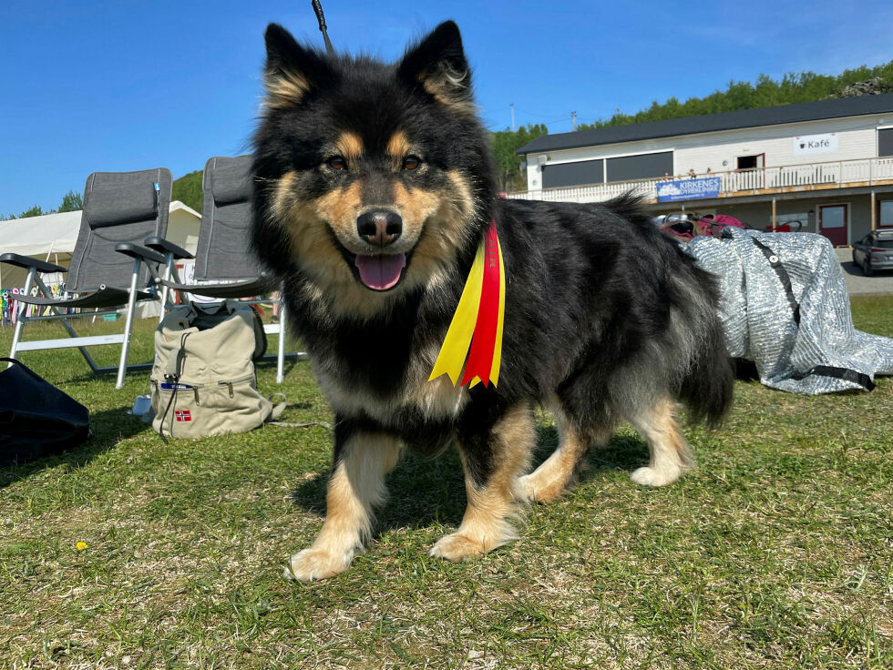 Idjá ble best i sin rase, finsk lapphund.
 Foto: Birgitte Wisur Olsen