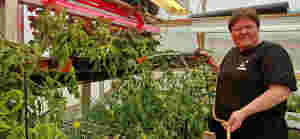 Det bugner av blomster på Fagermo gartneri