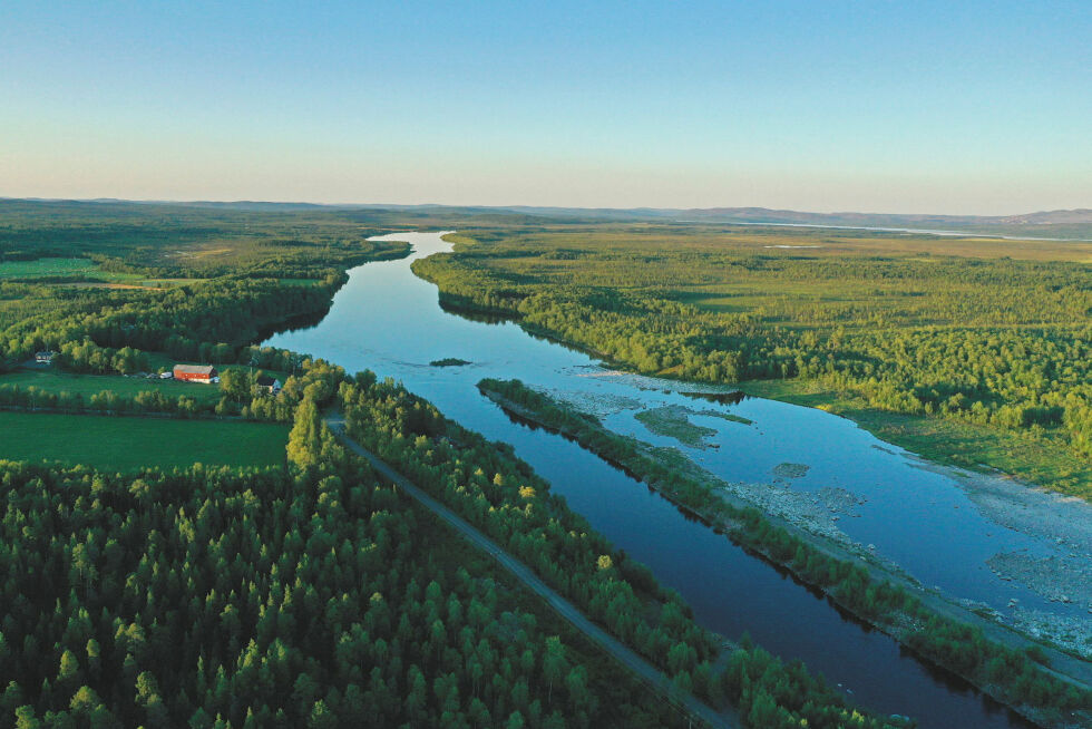 Dette sommerbildet fra Melkefoss-området i Pasvikdalen viser hvordan skogen har vokst seg høy og tett langs vår grense mot Russland, på høyre side av elva.
 Foto: Bjørn Karlsen