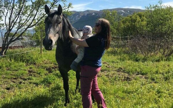 Vinterkarse på nysådd eng