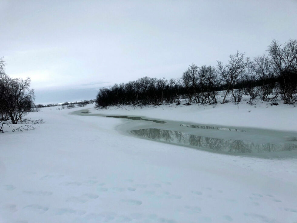 Vid­da er i full opp­løs­ning mens ra­den be­ve­ger seg nord­over.
 Foto: Stein Torger Svala