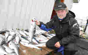 – La dem fiske opp pukkellaksen sjøl