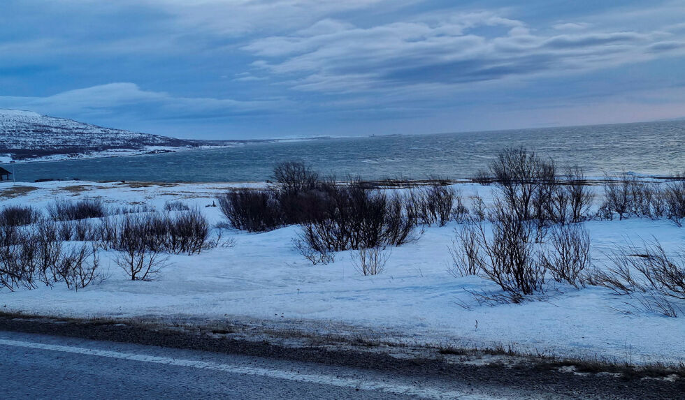 Det er i dette området – mellom Vestre Jakobselv og Vadsø – at Lerøy Aurora har søkt om å få etablere et oppdrettsanlegg.
 Foto: Torbjørn Ittelin