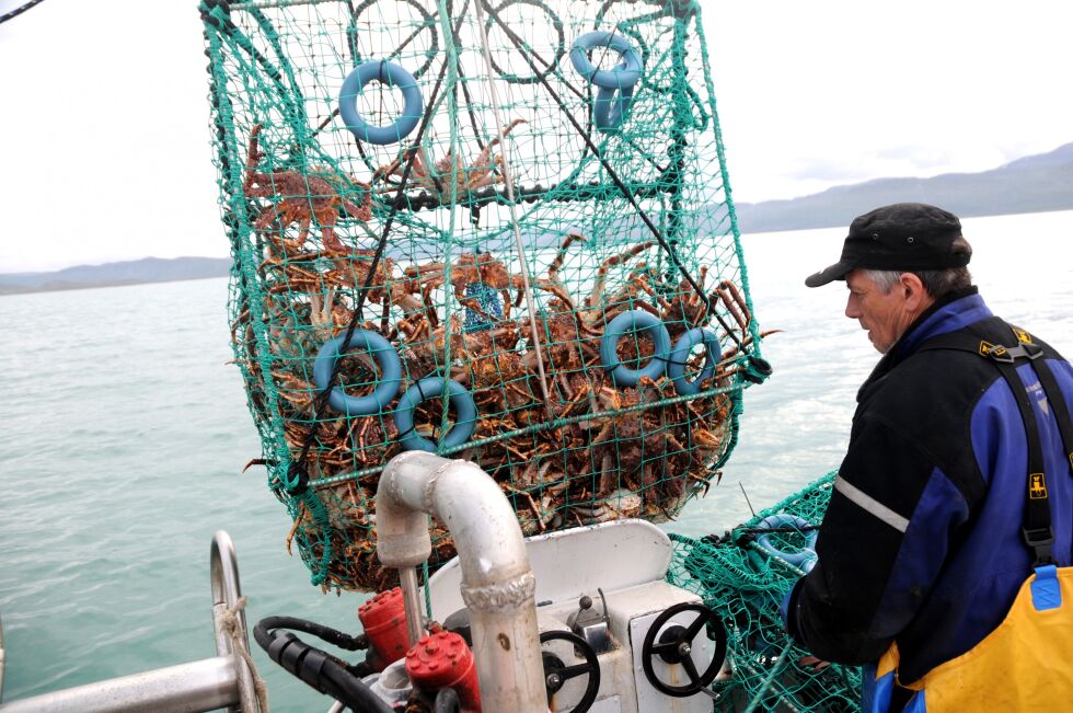 Det kan fanges 100 tonn mer hunnkrabber i 2017. Forøvrig økes totaluttaket fra 2.050 tonn til 2.150 tonn i kvoteområdet øst for Nordkapp.  
Bildet er fra 2009 og viser Jan Larsen fra Vestertana.
 Foto: Tom Hardy (arkiv)