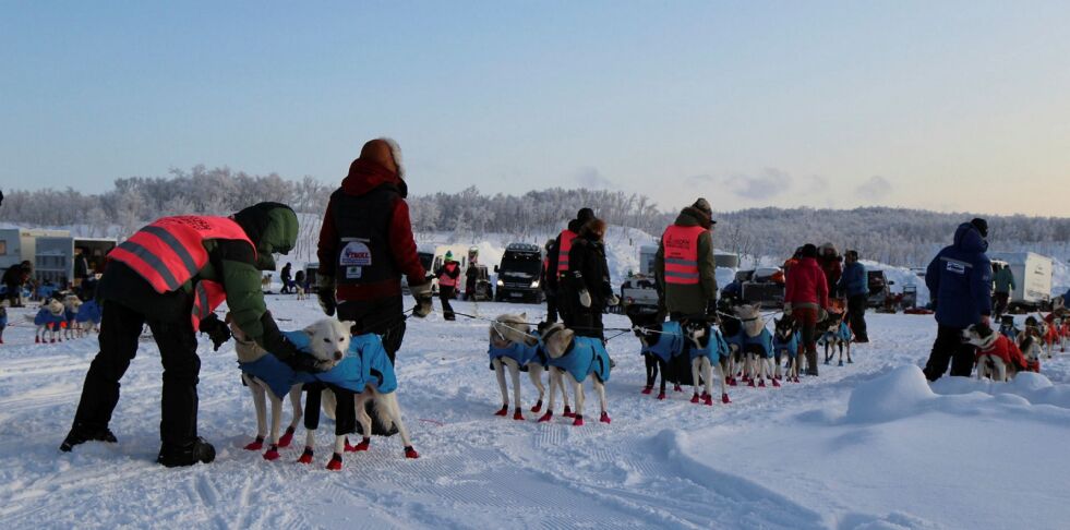Spannet til Steinar Kristensen var først ut fra start under Bergebyløpet fredag formiddag, og kom inn til en andreplass lørdag morgen.
Foto: Torbjørn Ittelin