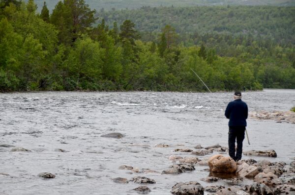 Freder stor hunnlaks i Stabburselva