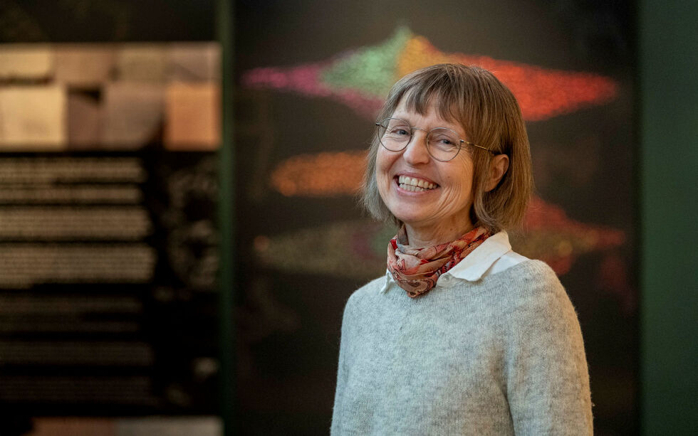 Utstillingen «Rare rein og sprukken stein – Et skråblikk på helleristningene i Alta» er basert på PhD-arbeidet til Karin Tansem ved Alta museum, og viser nesten alle helleristningene som har blitt funnet i Alta.
 Foto: Cecilie Bergan Stuedal