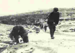 Minerydding i Finnmark 1945