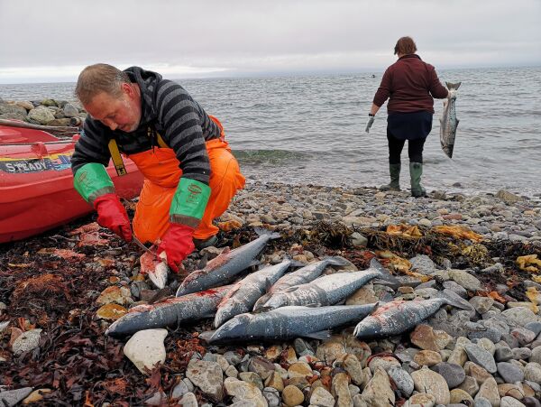 – FeFo prøver å rane fra meg eiendom
