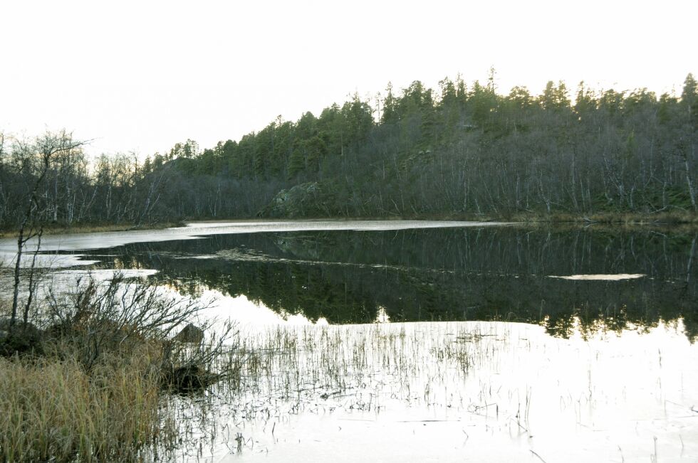 Arkivfoto Stein Torger Svala