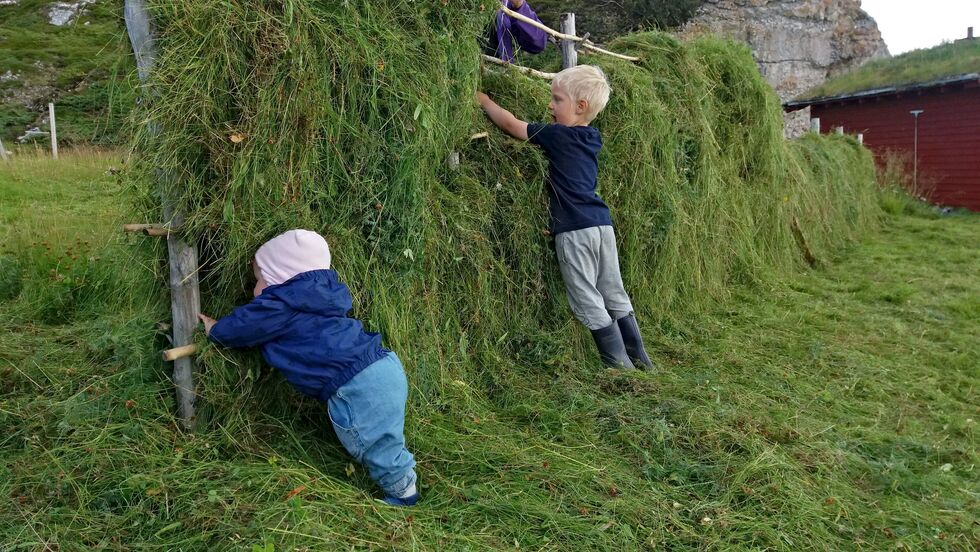 Astrid Oline (10 måneder) og Ailo Andreas (4) er kanskje nye arvtakere for en gammel tradisjon.
 Foto: Marte Eliassen
