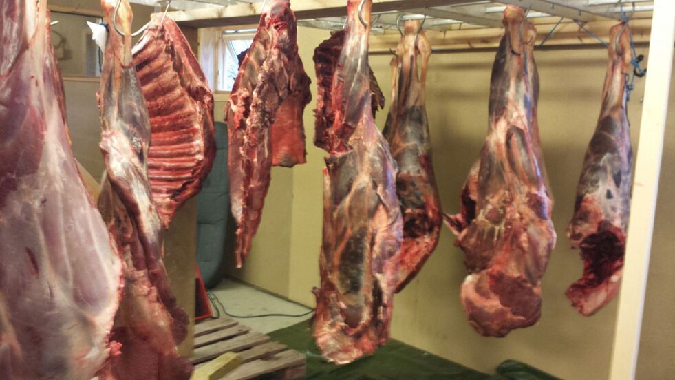 Alle kommuner i fylket har fått en presisering fra fylkesmannen angående bruk av kjøretøy i forbindelse med elgjakta.
 Foto: Torbjørn Ittelin