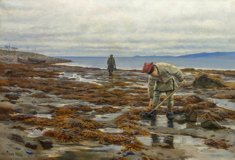 Fjæra ble benyttet til å skjære tang som var ekstra mat og mineraler til husdyrene, men fjæra ble også benyttet til og grav etter agn, som fjæramakk og tobis. Maleriet er laget av Wilhelm Otto Peters og heter «Sanking av sandorm».
 Foto: Kim G. Skytte / Nordnorsk Kuns