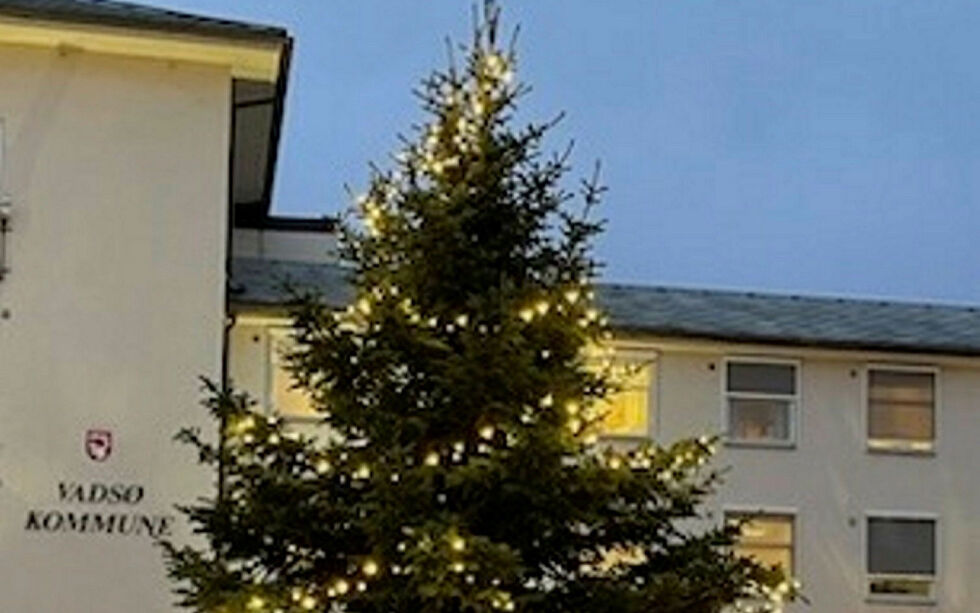 Treet på torget i Vadsø er hentet fra en privat hage tilhørende Jorunn Pedersen, og står allerede og skinner foran rådhuset.