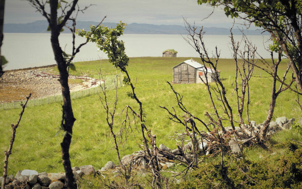 Det er tidligere gitt støtte til skjøtsel i Makkenes i Vadsø kommune.
 Foto: Håkon Kreilinger/TFFK