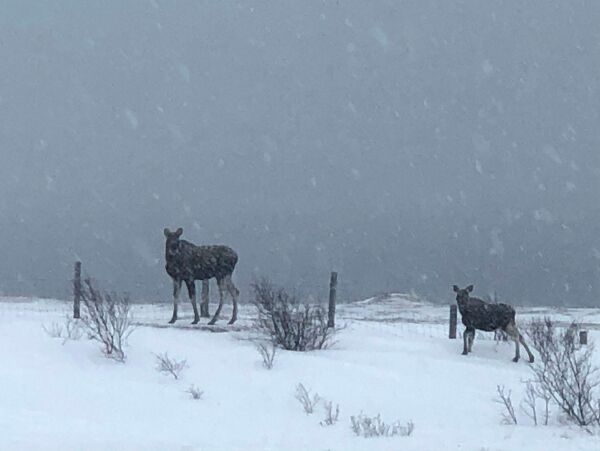 Fjorårets skyteprøve gjelder også i år
