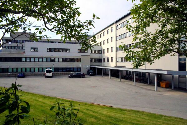 Den viktige tilliten