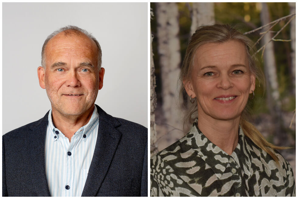 Simon Thorsdal, direktør bærekraft og samfunnskontakt og Stine B. Solbakken, direktør mennesker og kommunikasjon
 Foto: Presse