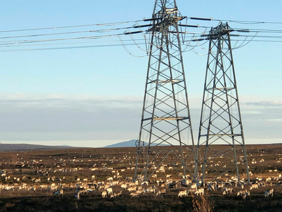 Det skal prates energiproduksjon og -transport rundt om i fylket i disse dager. NVE holder åpne kontordager i Vadsø, Alta, Kjøllefjord, Lakselv, Båtsfjord og Karasjok.
 Foto: Stein Torger Svala