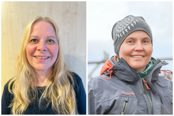 Fjern momsen på lokalprodusert mat!