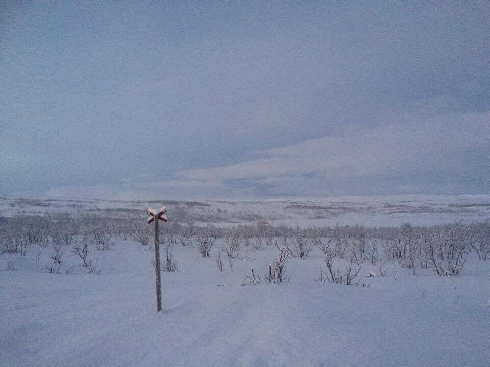 Slik var forholdene ved Hannujávrit langs skuterløypa fra Rustefjelbma til Sommervann sist lørdag nyttårsaften 31. desember. Som man ser er det full vinter på fjellet.
 Foto: Tom Hardy