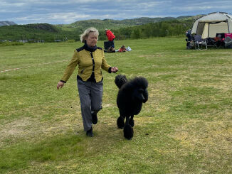 Poteprestisje i Kirkenes