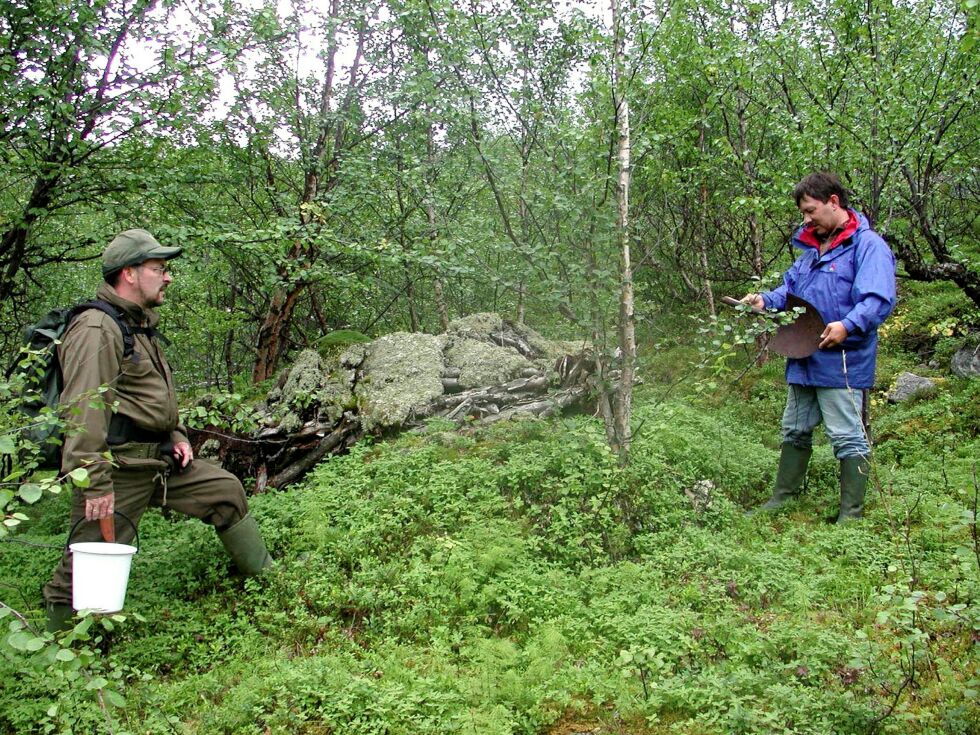 Brød­re­ne Har­ry An­dre­as Lo­soa (1954–2019) og Odd E. Kri­sti­an Iver­sen ser på gammerestene fra barn­dom­mens multebærleir. Odd har fun­net en spa­de. FOTO: RAN­DI IRE­NE LO­SOA