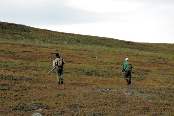 En presisering fra styret i NJFF-Finnmark