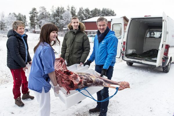 Måtte hente elg fra Tana